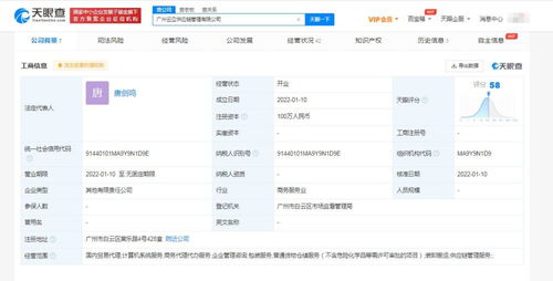 廣告設(shè)計的藝術(shù)與策略 從概念到溝通的創(chuàng)意之旅